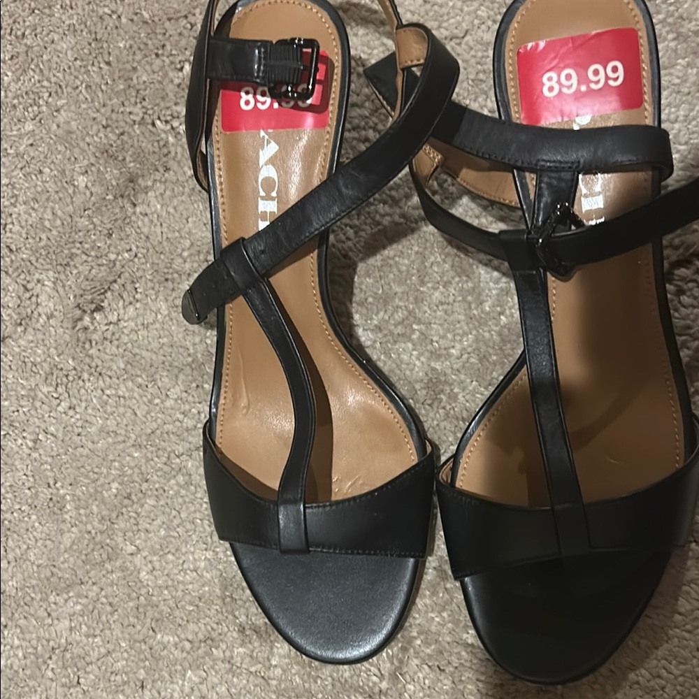 Coach Black Flat Sandals with Ankle Straps